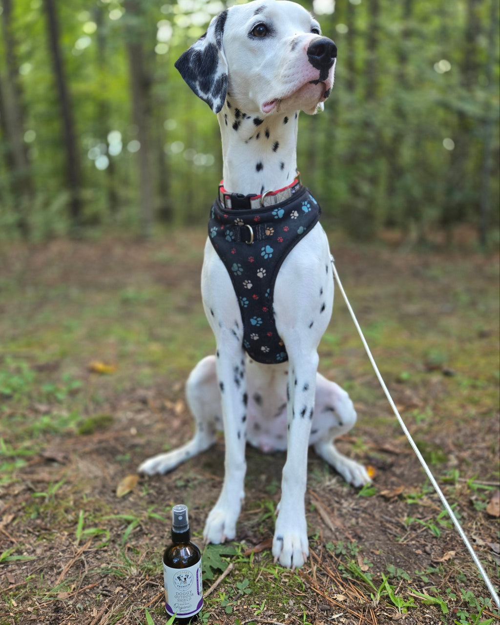Doggy Outdoor Shield