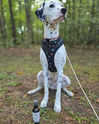 Doggy Outdoor Shield