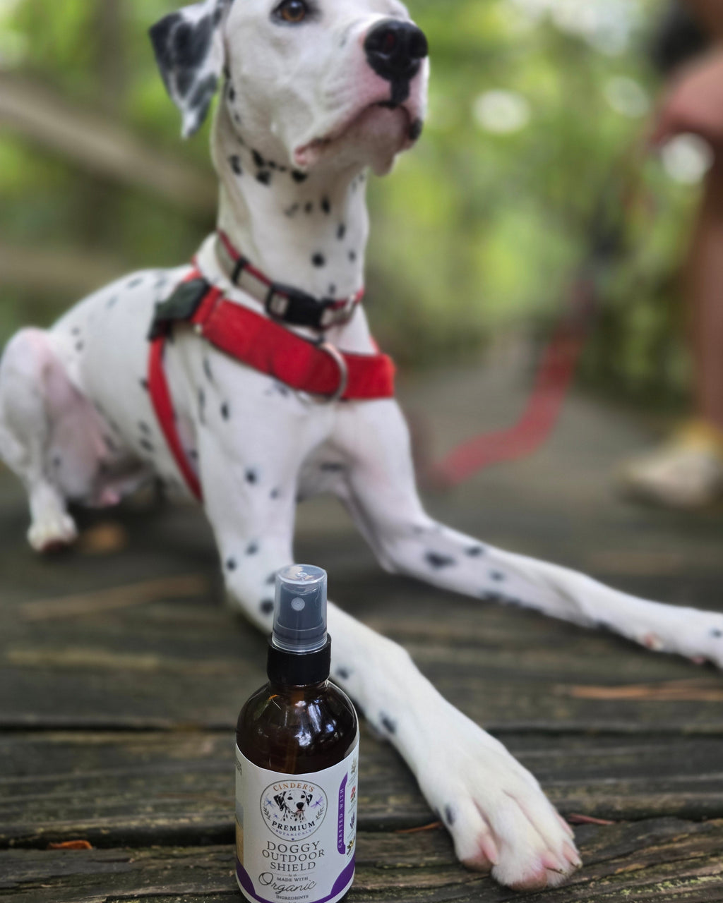 Doggy Outdoor Shield
