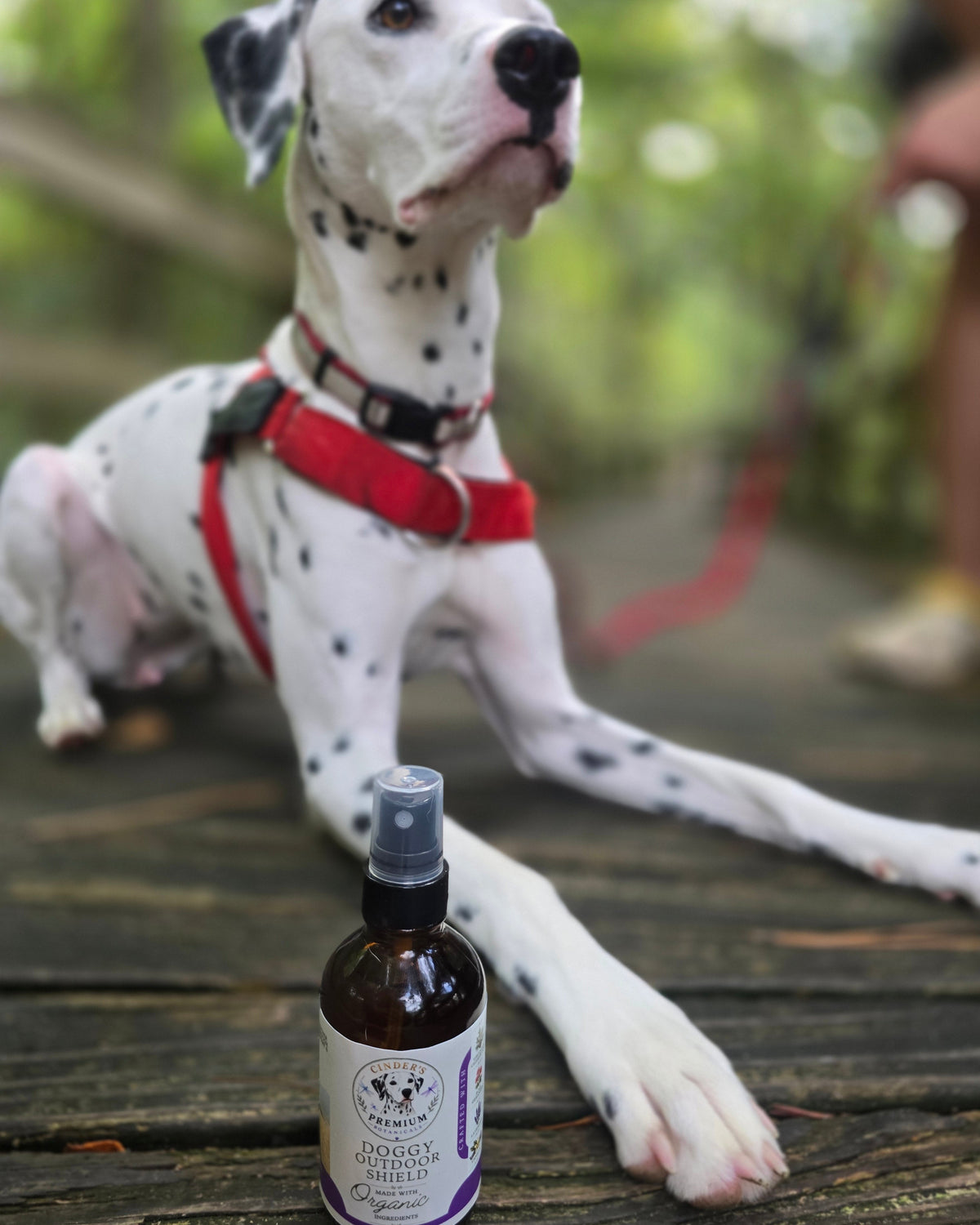 Doggy Outdoor Shield