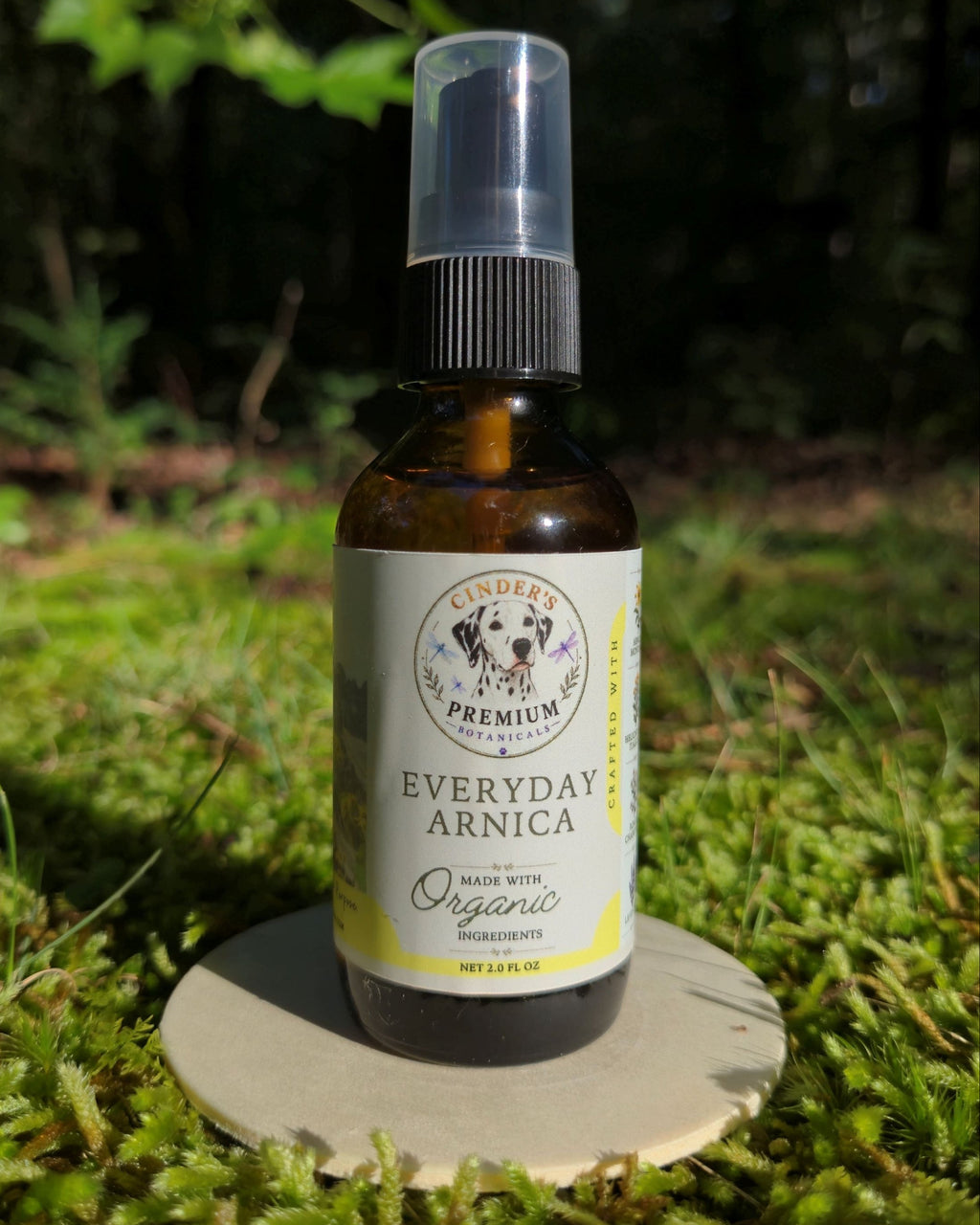 Everyday Arnica
