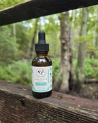 Cypress Dew Hair Health Serum