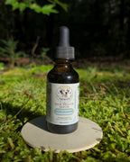 Silver Seashore Hair Health Serum