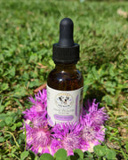 Velvet Petals Hair Health Serum